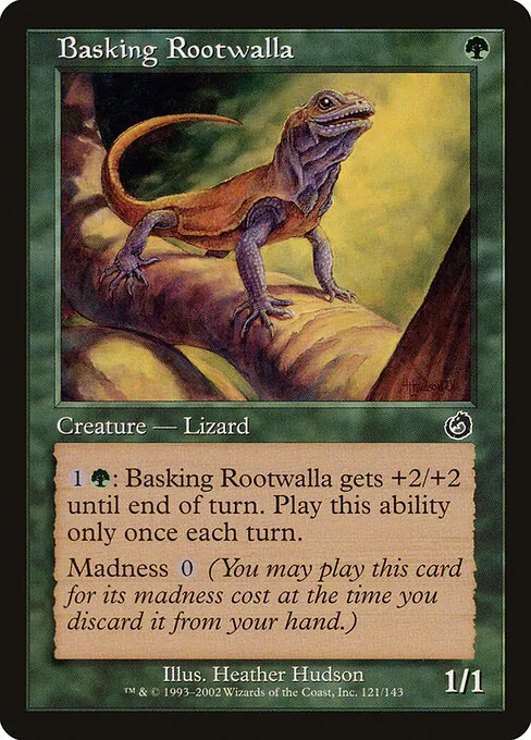 Basking Rootwalla 121/143