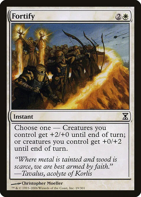 Fortify 019/301