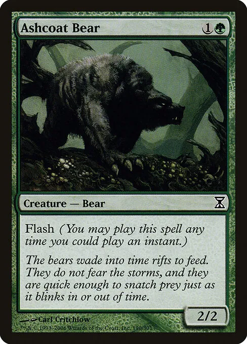 Ashcoat Bear 190/301