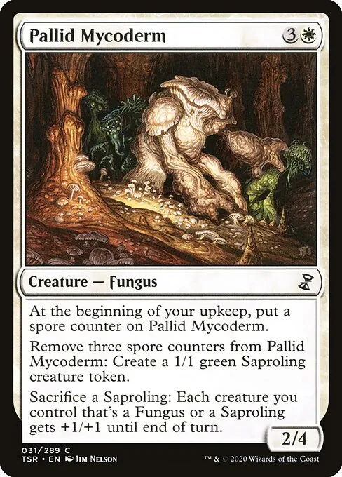 Pallid Mycoderm 031/410