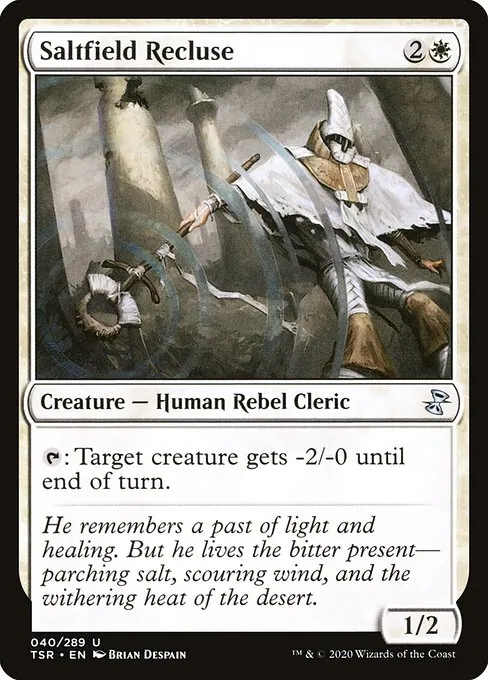 Saltfield Recluse 040/410