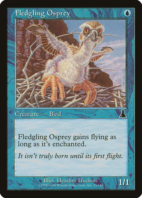 Fledgling Osprey 033/143