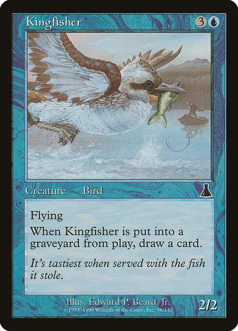 Kingfisher 036/143