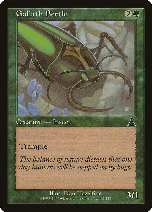 Goliath Beetle 107/143