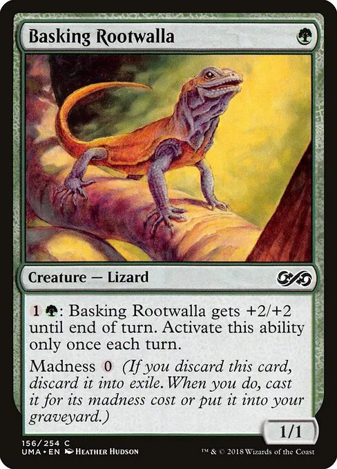 Basking Rootwalla 156/254