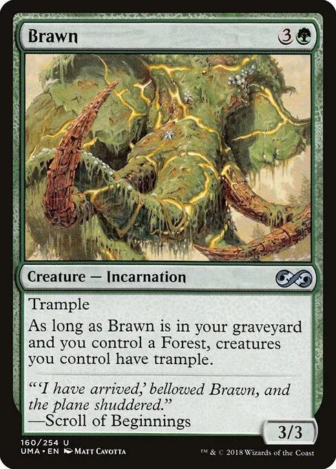 Brawn 160/254