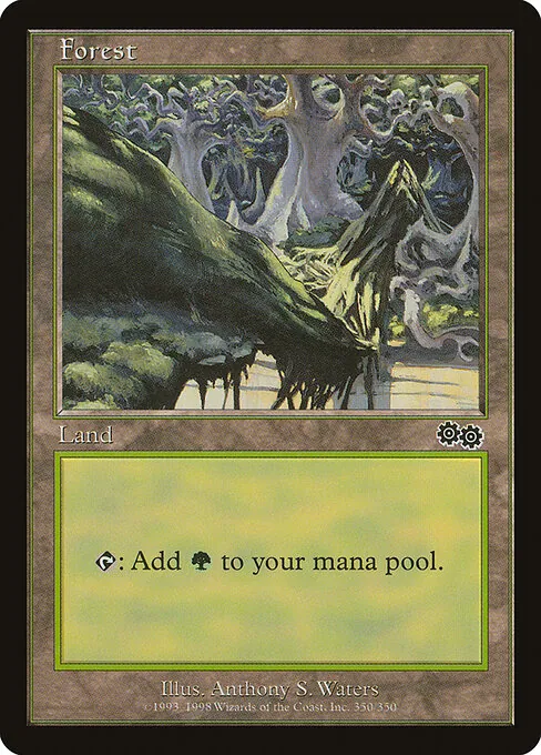 Forest 350/350
