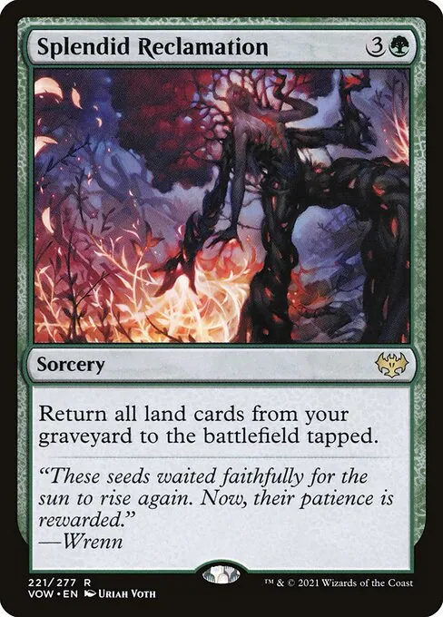 Splendid Reclamation 221/277