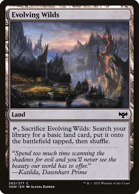 Evolving Wilds 263/277