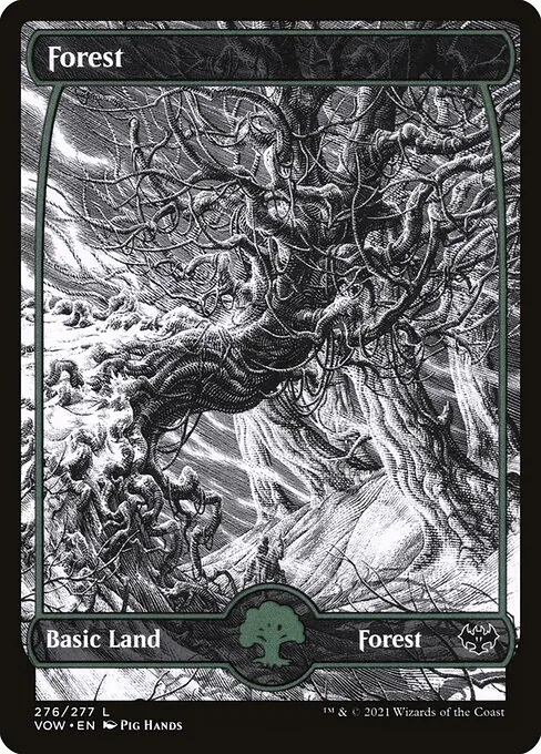 Forest 276/277