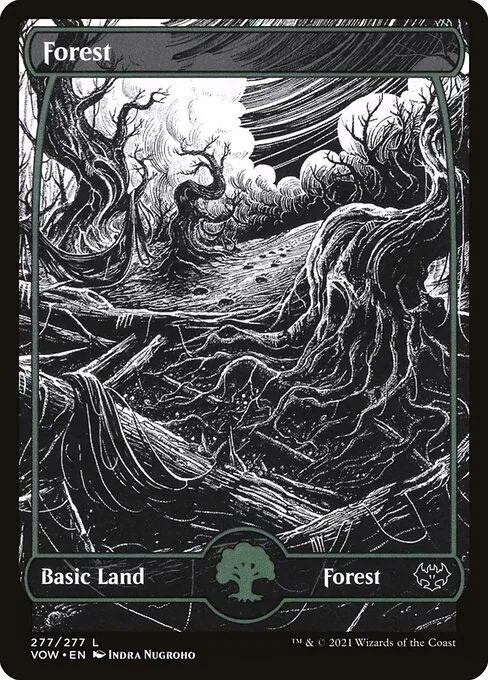 Forest 277/277