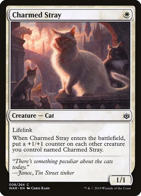 Charmed Stray 008/275