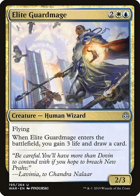 Elite Guardmage 195/275