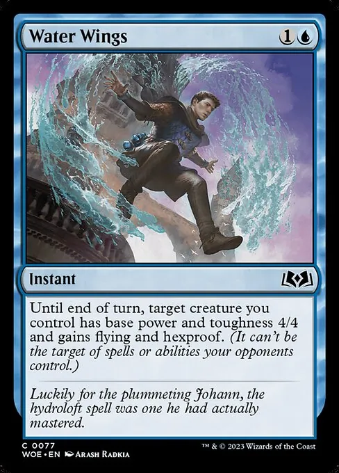 Water Wings 077/291