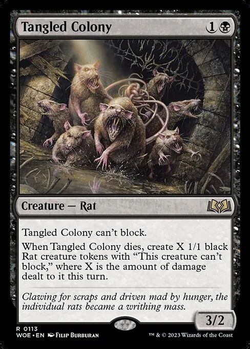 Tangled Colony 113/291