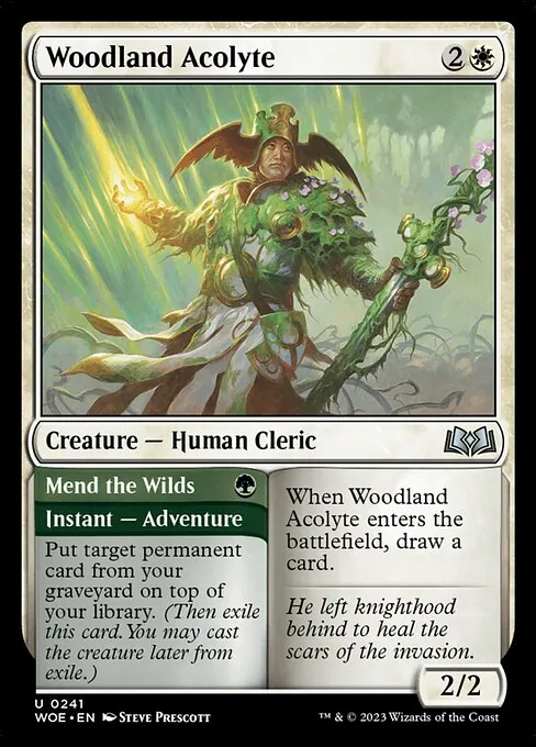 Woodland Acolyte // Mend the Wilds 241/291