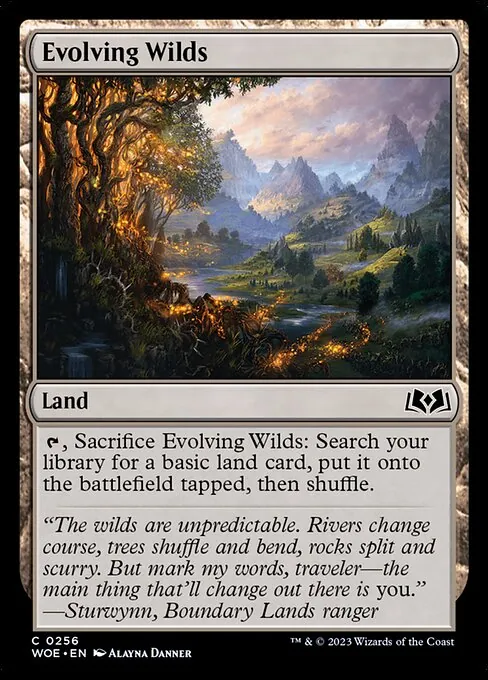 Evolving Wilds 256/291