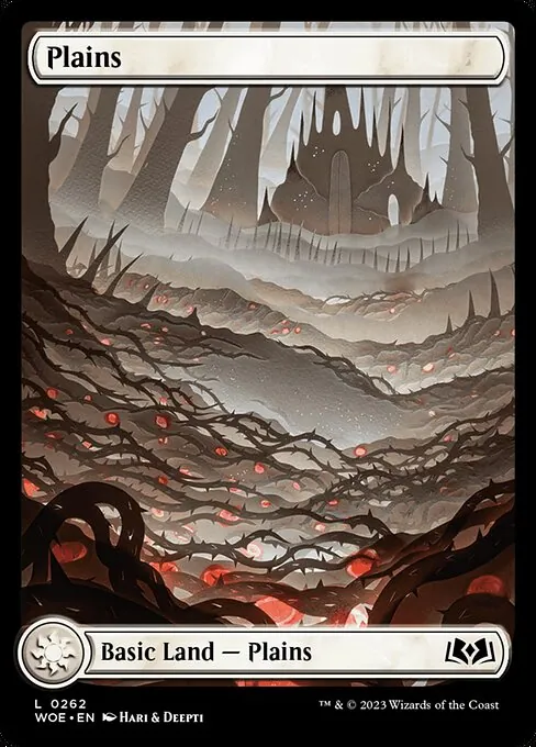 Plains 262/291