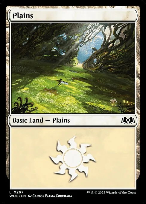 Plains 267/291