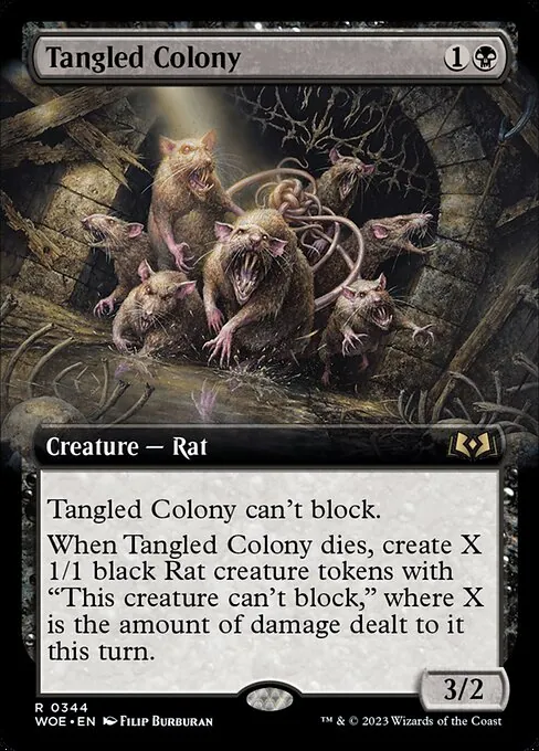 Tangled Colony 344/291