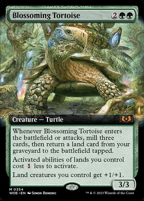 Blossoming Tortoise 354/291