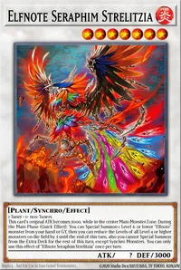 Elfnote Seraphim Strelitzia