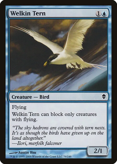 Welkin Tern 076/249