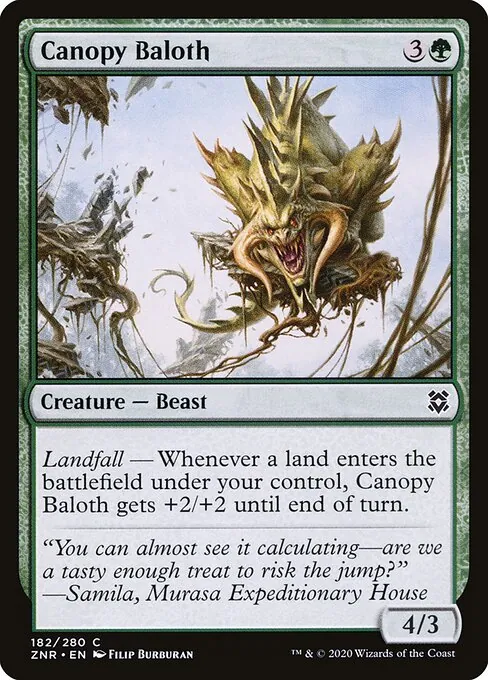 Canopy Baloth 182/280