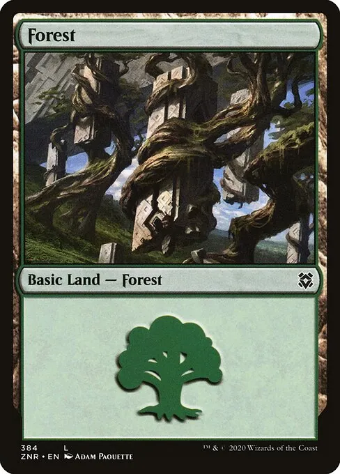 Forest 384/280